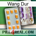 Hard Wang new12